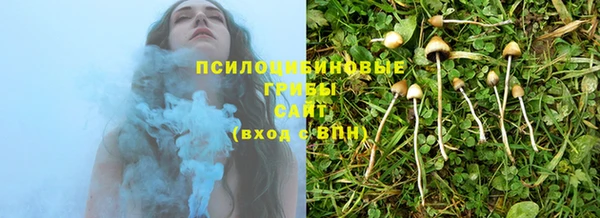 таблы Сосновка