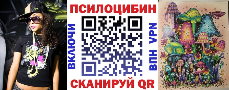 Галлюциногенные грибы Psilocybe  Купить закладки  Заводоуковск 